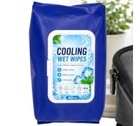 40 Count Cooling Wipes | Soft Refreshing Towelettes For Outdoor Use