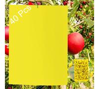 40 Lavagne Gialle per Insetti; Trappole per Chiocciole; Spine Gialle per Colla B