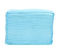 40 Pcs Assorbenti Cane Tampone Per Pipì Cuccioli Tappetino Da Addestramento