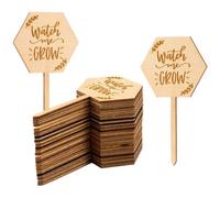 40 Pcs Cartellini Orto Etichette Per Da Esterno Del Giardino