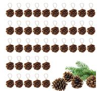 40 Pcs Natural Mini Christmas Pine Cones - Tiny Pinecones for Crafts, Bulk Pine Cones Ornaments with Strings for Christmas DIY Gift Tag Wreath Garland