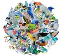 40 Pezzi Acquerello Adesivi Uccelli, Trasparenti Adesivi Scrapbooking Uccelli, Impermeabili Uccelli Adesivi per Scrapbooking per DIY Album, Cellulare, Parete, Mobili, Computer Portatili, Diari