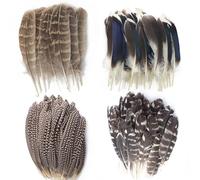 40 Pezzi Decorazione di Piume Naturali,4 Stili di Piume per Artigianal,Piuma di Fagiano Piuma di Germano Reale Piuma Tacchino Decorative per Fai da Te Acchiappasogni Orecchini Cappelli Feste Decor