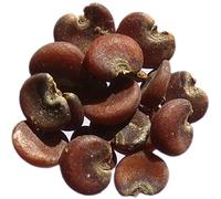 40 Seeds: Officinal Marshmallow - Altea Officinalis - Common Marshmallow - Sem06 : Package Contains Seeds