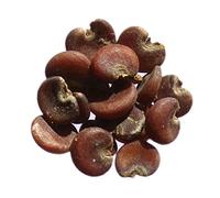 40 Seeds: Officinal Marshmallow - Altea Officinalis - Marshmallow Comune - Sem06 Seeds ONLY