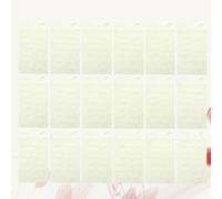 40 Sheet Carta Per Calligrafia Cinese L'arte Della Di Riso Forniture