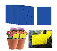 40 trappole adesive per mosche, 25 x 30 cm, adesivi di carta per moscerini e funghi, trappole per insetti, acchiappamosche appiccicose a doppio lato per insetti contro moscerini funghi, mosche bianche