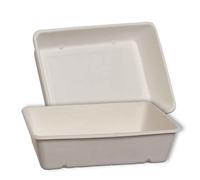 40 Vaschette rettangolari in polpa di cellulosa compostabili