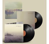 40 Watt Sun A Perfect Light (Vinyl LP)