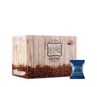 TODA GATTOPARDO | A Modo Mio | DAKAR - 0100 Capsule