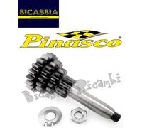 4020 - CAMBIO PINASCO Z 10 14 17 20 SUPER SPORT VESPA 50 SPECIAL R L N PK S XL