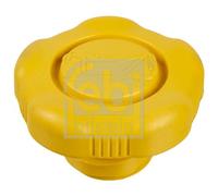FEBI BILSTEIN 40463 Tappo olio motore