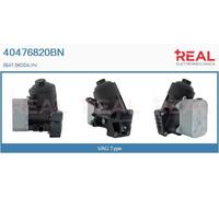 40476820BN REAL Radiatore olio, Olio motore per SEAT,SKODA,VW