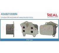 40482100BN REAL Radiatore olio, Olio motore per CITROËN,FORD,MAZDA,MINI,MITSUBIS