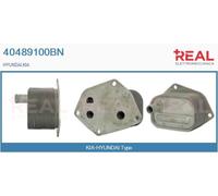 40489100BN REAL Radiatore olio, Olio motore per HYUNDAI,KIA