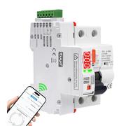40A Salvavita con riarmo automatico wifi Interruttore differenziale a riarmo automatico Differenziale riarmo 2P Wifi RCCB digitale LED Controllo APP/manuale AC 220V 40A 30mA (tipo AC)