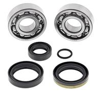 4110225 KIT CUSCINETTI E PARAOLIO PER ALBERO MOTORE ALL-BALLS (RIF: 24-1099)