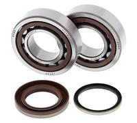 4110229 KIT CUSCINETTI E PARAOLIO PER ALBERO MOTORE ALL-BALLS (RIF: 24-1105)