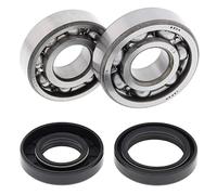 4110241 KIT CUSCINETTI E PARAOLIO PER ALBERO MOTORE ALL-BALLS (RIF: 24-1023)