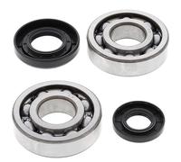 4110250 KIT CUSCINETTI E PARAOLIO PER ALBERO MOTORE ALL-BALLS (RIF: 24-1029)