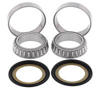 4110602 KIT CUSCINETTI E GUARNIZIONI PER STERZO (RIF. ALL-BALLS: 22-1031)