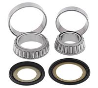 4110604 KIT CUSCINETTI E GUARNIZIONI PER STERZO (RIF. ALL-BALLS: 22-1038)