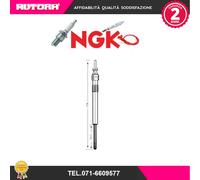 Candeletta D-Power 31 NGK 4187