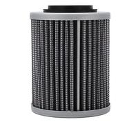 420956124, Filtro Olio Ad Alte Prestazioni Sostituzione Efficiente Metallo Resistente Motoslitta Parti Automobilistiche Filtri Filtri Accessori Motore per BRP 600ACE 900ACE 1200