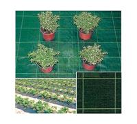 420MQ TELO IN RAFIA PER PACCIAMATURA VERDE MT.100X4,20H.: