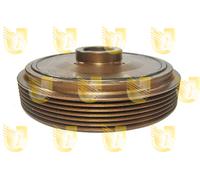 421206 UNIGOM Puleggia cinghia, Albero a gomiti per CITROËN,FIAT,PEUGEOT