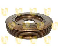 421211 UNIGOM Puleggia cinghia, Albero a gomiti per CITROËN,FIAT,PEUGEOT