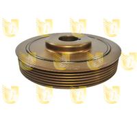 421236 UNIGOM Puleggia cinghia, Albero a gomiti per CITROËN,FIAT,LANCIA,PEUGEOT