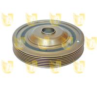 421782 UNIGOM Puleggia cinghia, Albero a gomiti per RENAULT