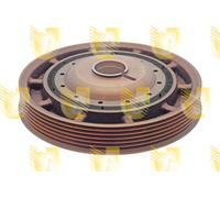 421783 UNIGOM Puleggia cinghia, Albero a gomiti per DACIA,NISSAN,RENAULT