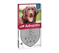 4218 Q.TA' 1 ADVANTIX SPOT ON 6 PIPETTE CANI 25-40 KG