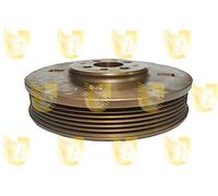 421810 UNIGOM Puleggia cinghia, Albero a gomiti per AUDI,FORD,SEAT,VW