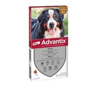 4226 Q.TA' 1 ADVANTIX SPOT ON 6 PIPETTE CANI 40-60 KG