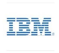 42D0641 IBM 300-GB 6G 10K 2.5 SFF SAS