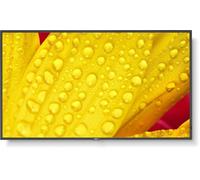 NEC MultiSync M431-2 43" Display