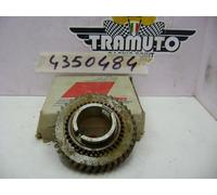 4350484 INGRANAGGIO CAMBIO 1a VELOCITA' FIAT 850 - 127 - A 112 ORIGINALE