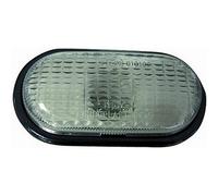 44010 FRECCIA GRUPPO OTTICO LATERALE NISSAN KUBISTAR 2004>