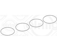449.740 ELRING Kit guarnizioni, Canna cilindro per CITROËN,FIAT, KHODRO,PEUG