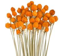 45 fiori secchi di fragola, decorazione fai da te con spighe di grano naturali, mazzo di erba secca, per composizioni floreali fai da te per la tua casa, camera da letto e soggiorno (arancione)