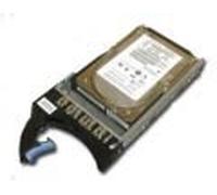 45 W8286 IBM 2TB 7200rpm SAS 6 Gbits hard drive 8,9 cm con vassoio.