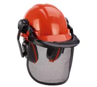 4500480 4006825544565 EINHELL Elmetto di protezione forestale (BG-SH 2), Casco