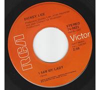 45vinylrecord I Saw My Lady/What We Used To Hang On To (Is Gone) (7"/45 rpm)