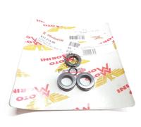 463.61721400 SERIE PARAOLIO MOTORE GRIZZLY 10-12 (2001)