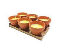 46410 Q.TA' 24 CITRONELLA IN COCCIO POLLICINO 7XH6 CM 6