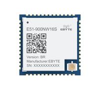 470/868/915MEFR32FG25 Modulo wireless WI-SUN IoT E51 a bassa potenza FAN1.1 OFDM FSK Soc 16dbm lunga distanza 2.5KM Test Board (900M Routing)