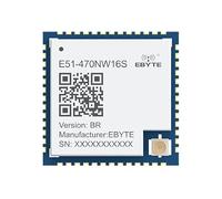 470/868/915MEFR32FG25 Modulo wireless WI-SUN IoT E51 a bassa potenza FAN1.1 OFDM FSK Soc 16dbm lunga distanza 2,5 km scheda di prova (470M routing)